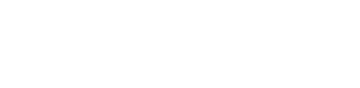 TransFisio